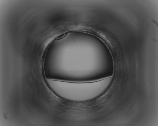 X0000093371463200710111318