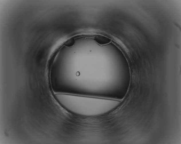 X0000093371464200710111318