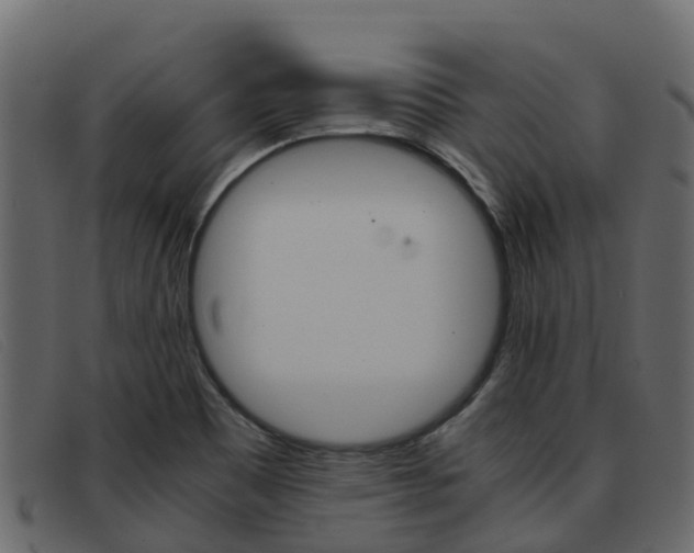 X0000093371465200710111318