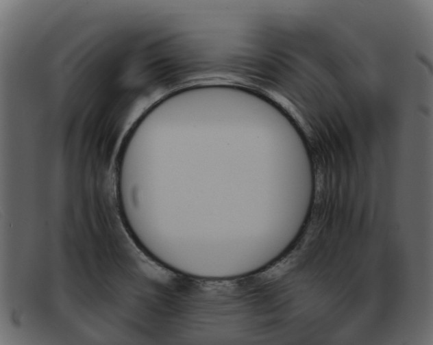 X0000093371466200710111318