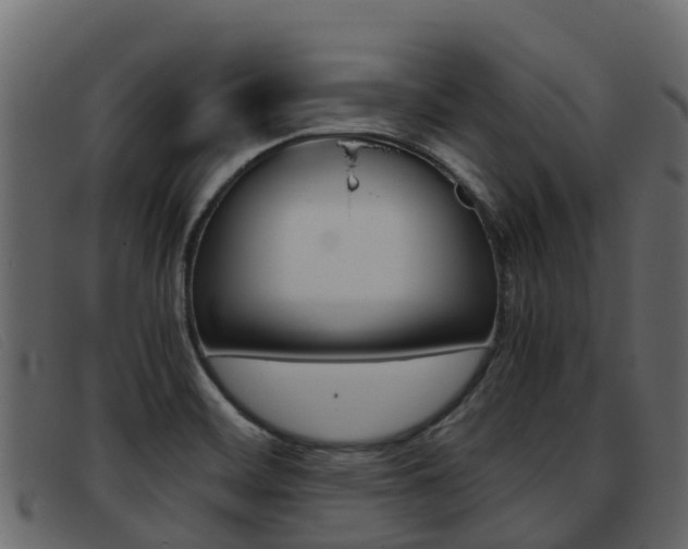 X0000093371468200710111318
