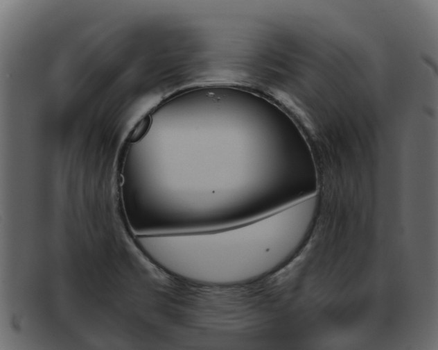 X0000093371469200710111318
