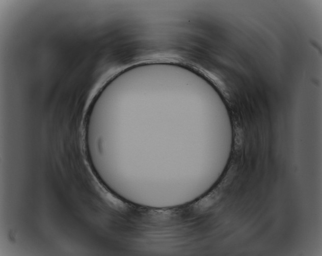 X0000093371470200710111318