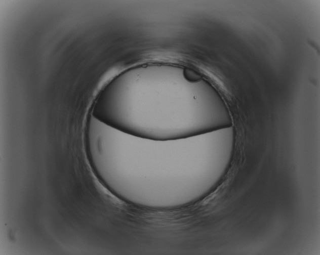 X0000093371471200710111318