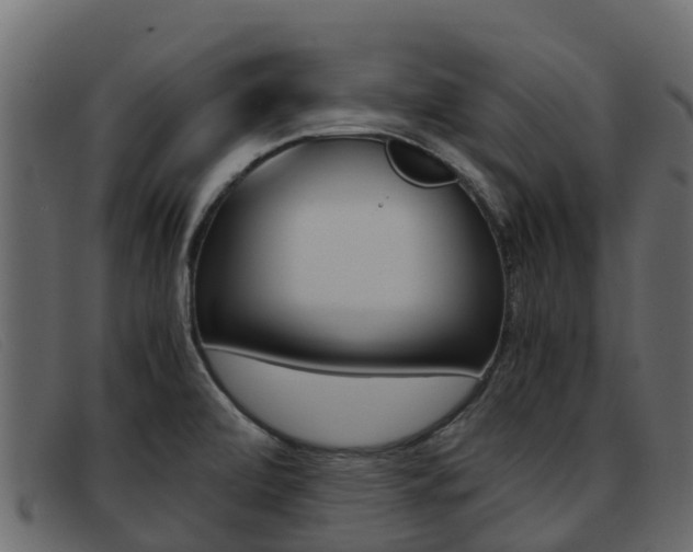 X0000093371472200710111318
