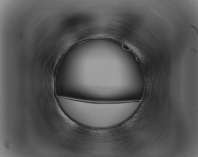 X0000093371476200710111318