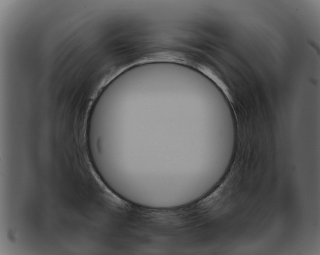 X0000093371477200710111318