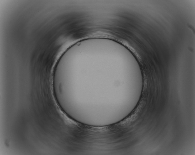 X0000093371478200710111318