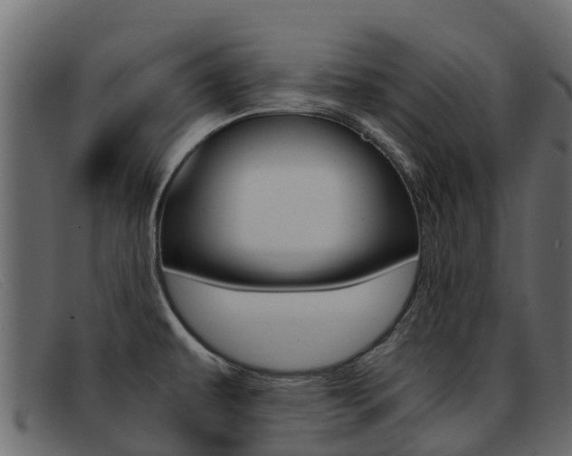 X0000093371479200710111318