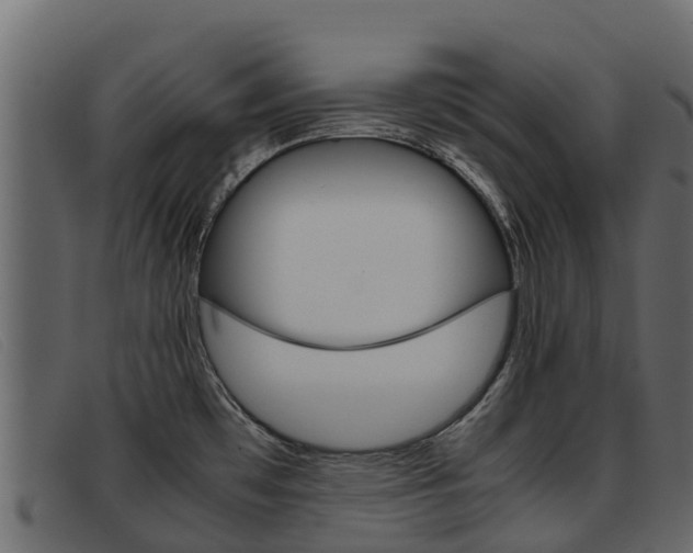 X0000093371481200710111318
