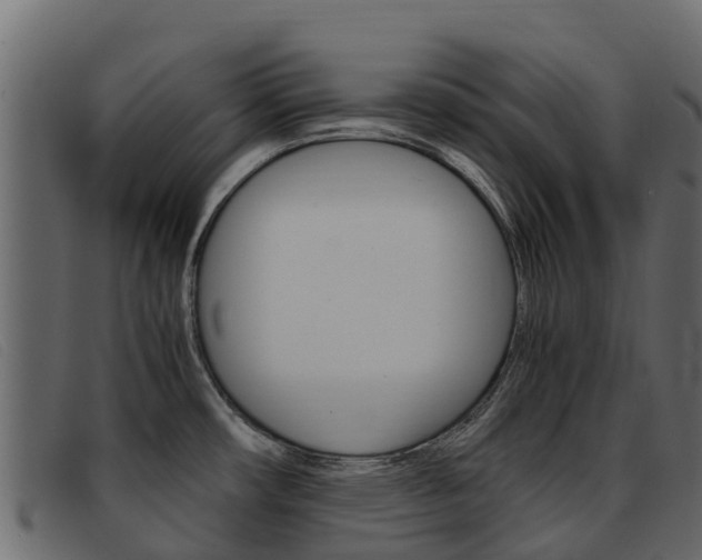 X0000093371482200710111317