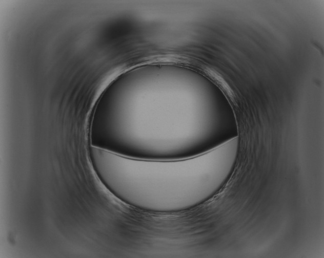 X0000093371483200710111317