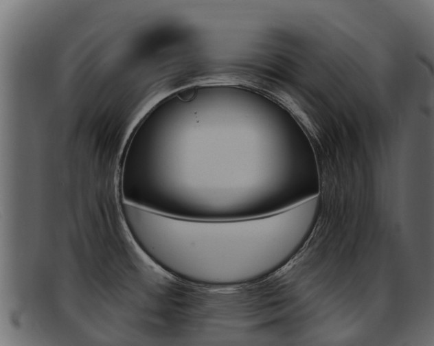 X0000093371484200710111317