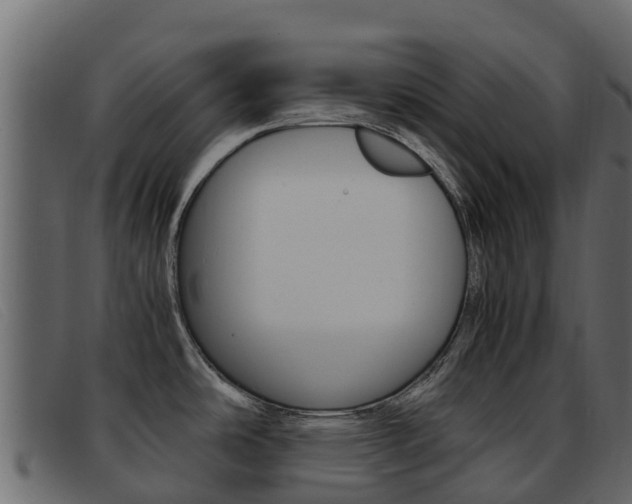X0000093371486200710111317