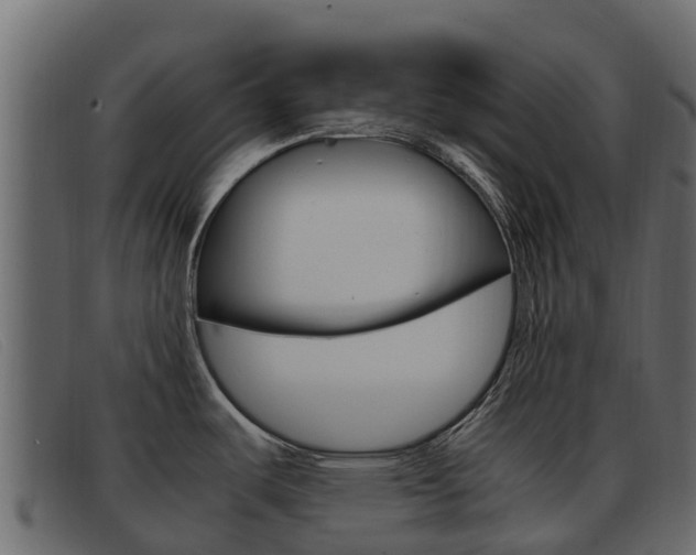 X0000093371487200710111317