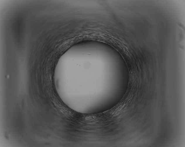 X0000093371489200710111317