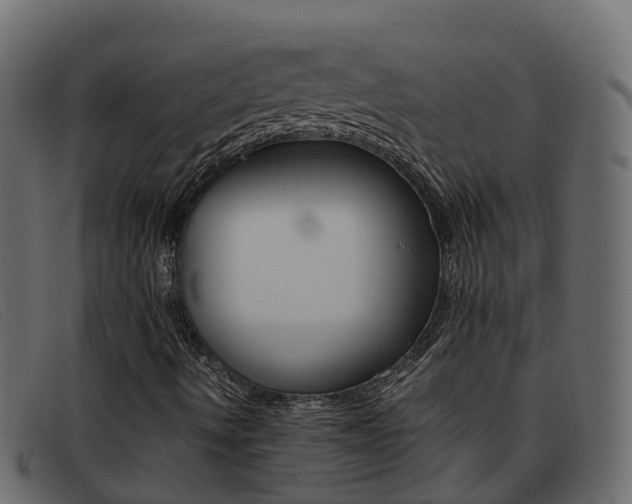 X0000093371490200710111317
