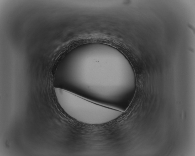 X0000093371493200710111317