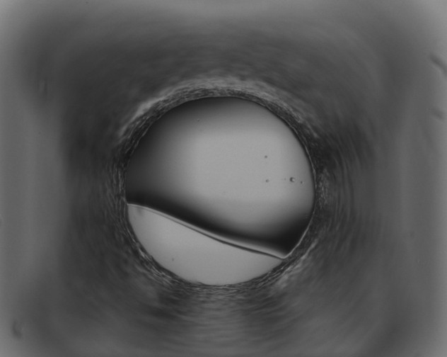 X0000093371494200710111317