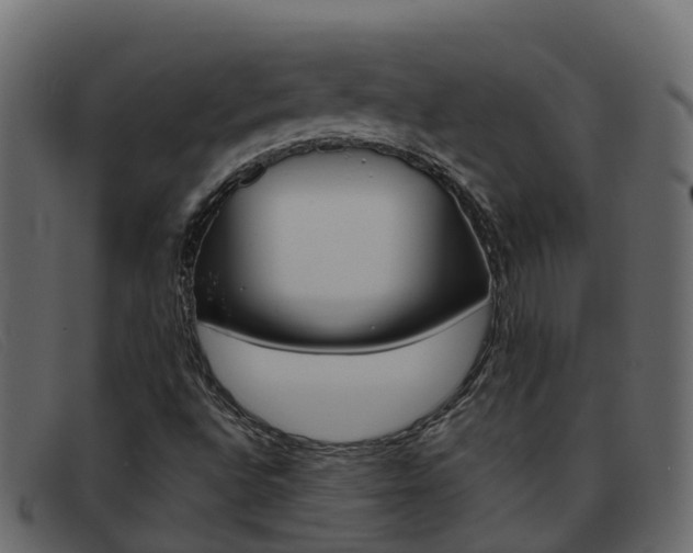 X0000093371496200710111317