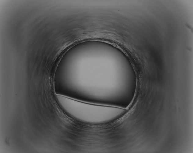X0000093371497200710111317