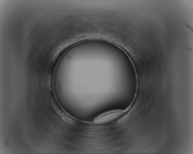 X0000093371499200710111317