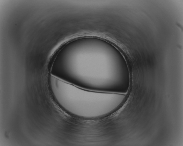 X0000093371502200710111317