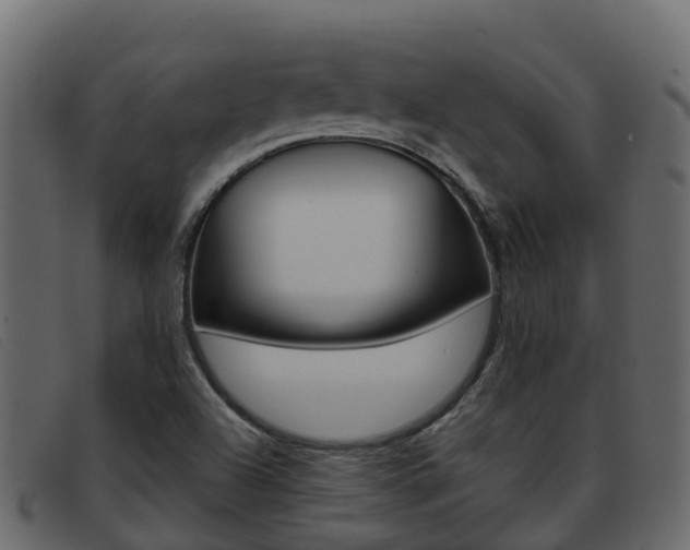 X0000093371504200710111317