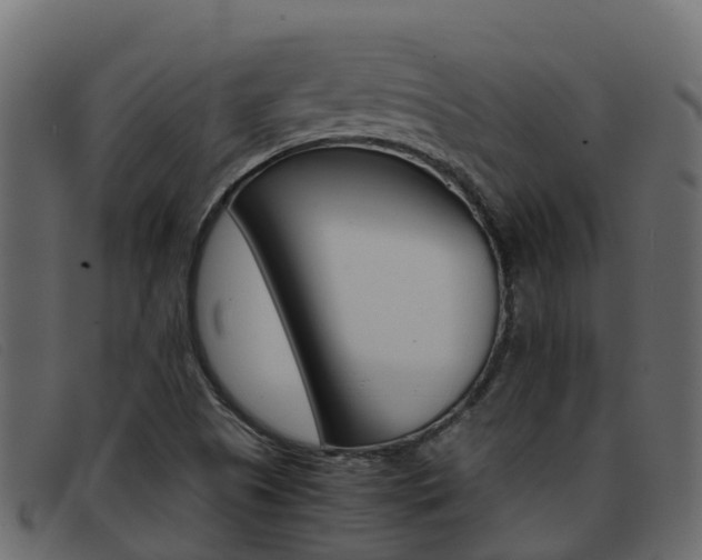 X0000093371505200710111317
