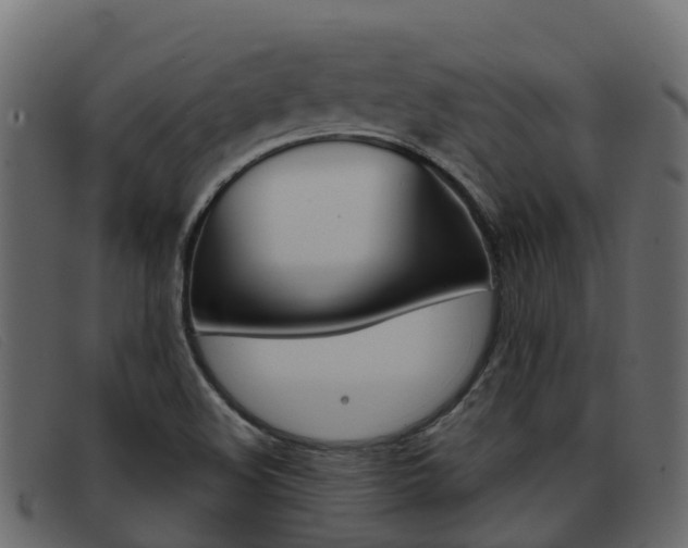 X0000093371508200710111317