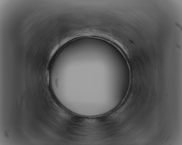 X0000093371509200710111317