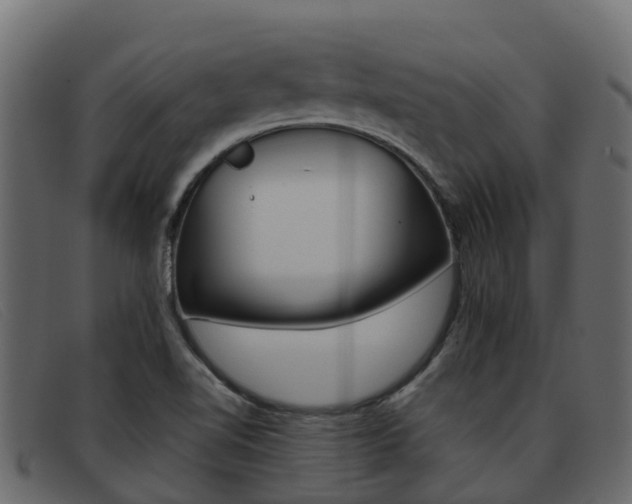 X0000093371510200710111317
