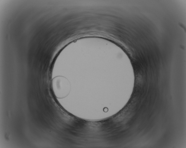 X0000093371514200710111317