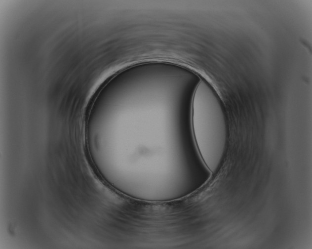 X0000093371515200710111317