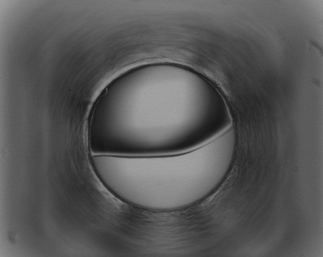 X0000093371516200710111317