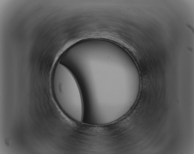 X0000093371517200710111317