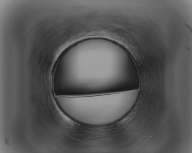 X0000093371519200710111317