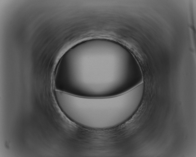 X0000093371520200710111317