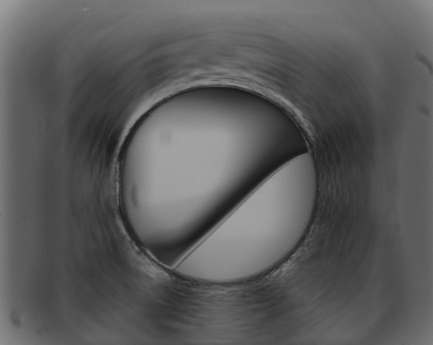 X0000093371522200710111317