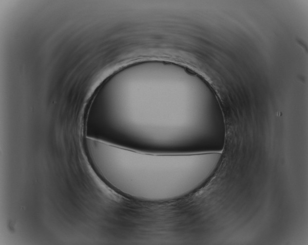 X0000093371523200710111317