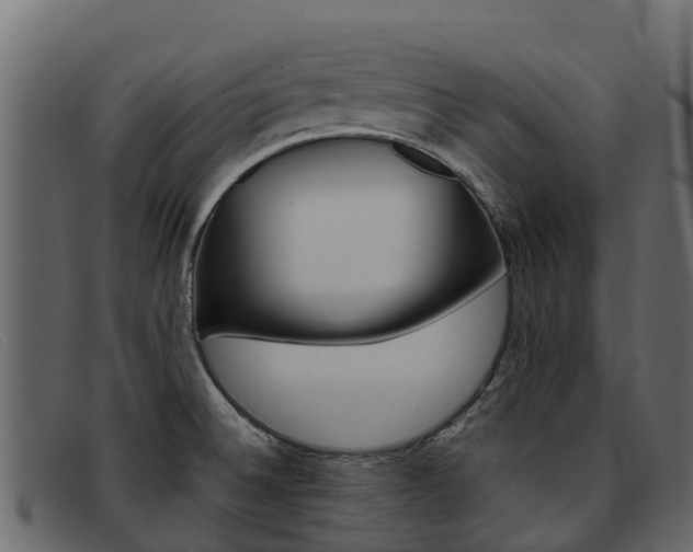 X0000093371524200710111317