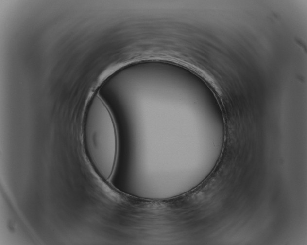 X0000093371525200710111317