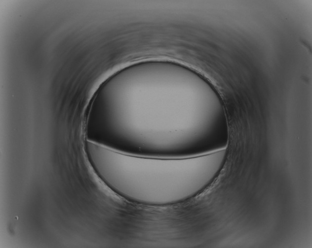 X0000093371526200710111317