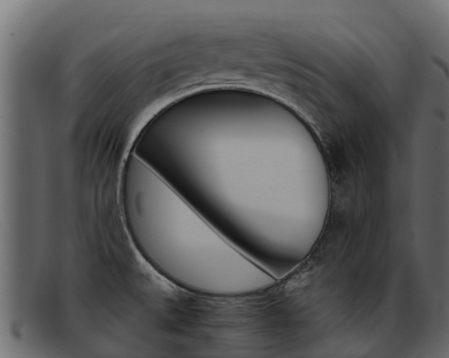X0000093371527200710111317