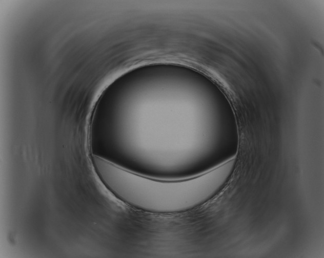 X0000093371528200710111317