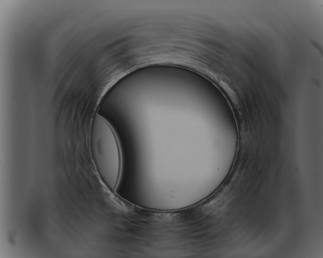 X0000093371529200710111317
