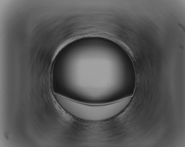 X0000093371530200710111317