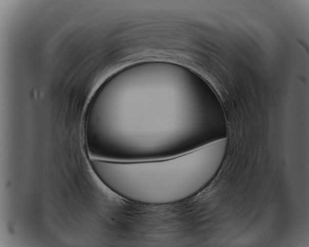 X0000093371531200710111317