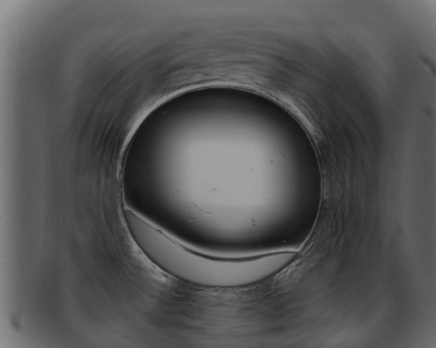 X0000093371532200710111317