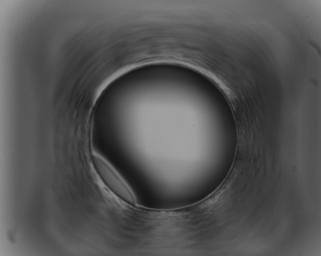 X0000093371534200710111317